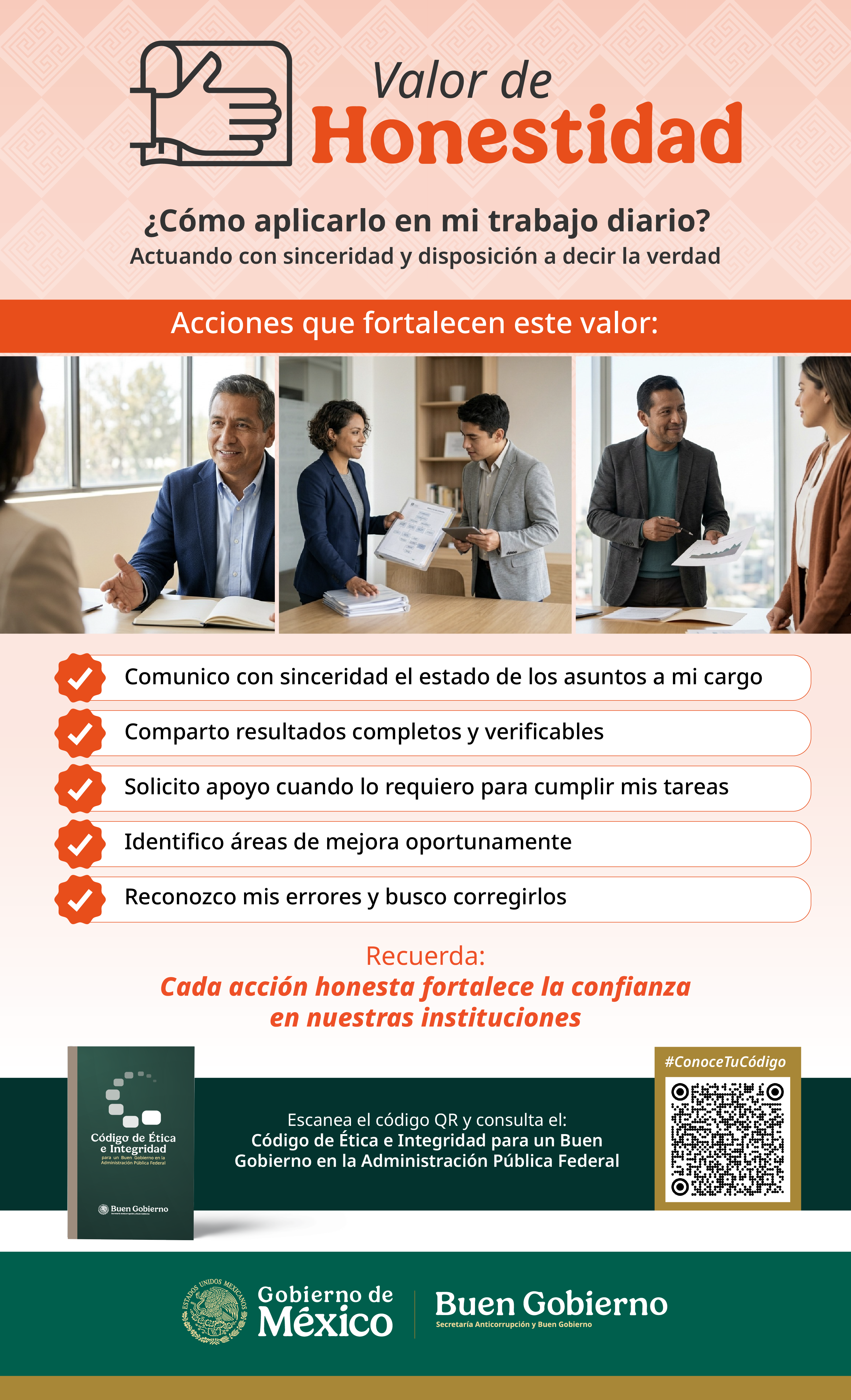 Noticia 1: Abejorros en Invernadero